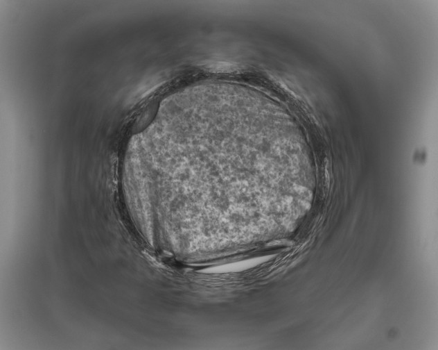 X0000096441301200802211201