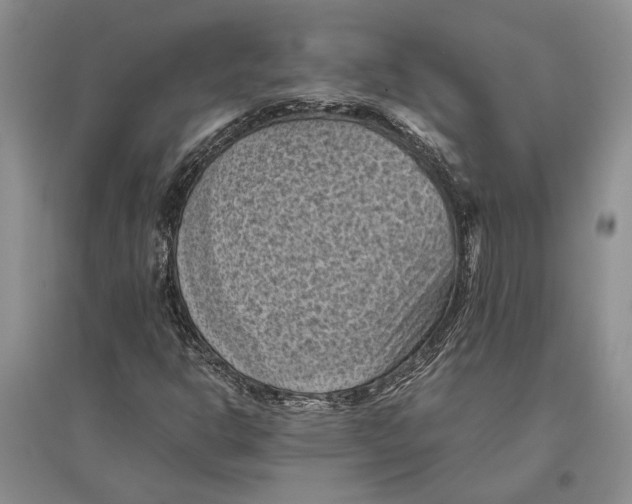 X0000096441302200802211201