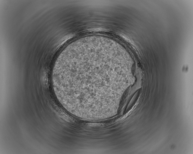 X0000096441305200802211201