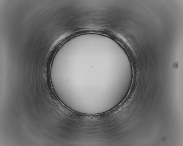 X0000096441307200802211201