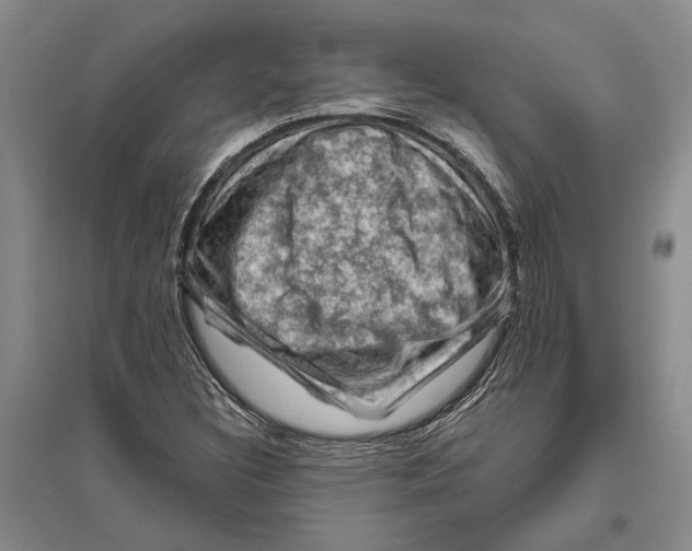 X0000096441308200802211201