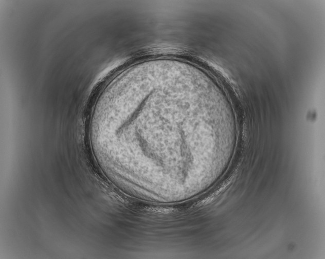 X0000096441309200802211201