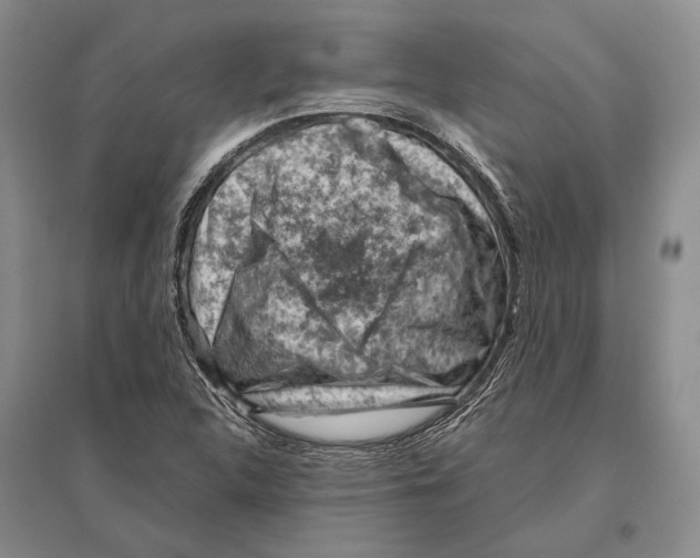 X0000096441312200802211201