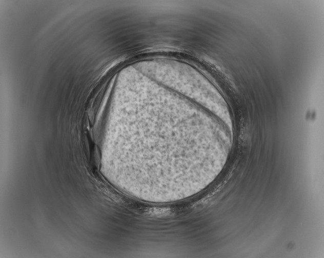 X0000096441313200802211201