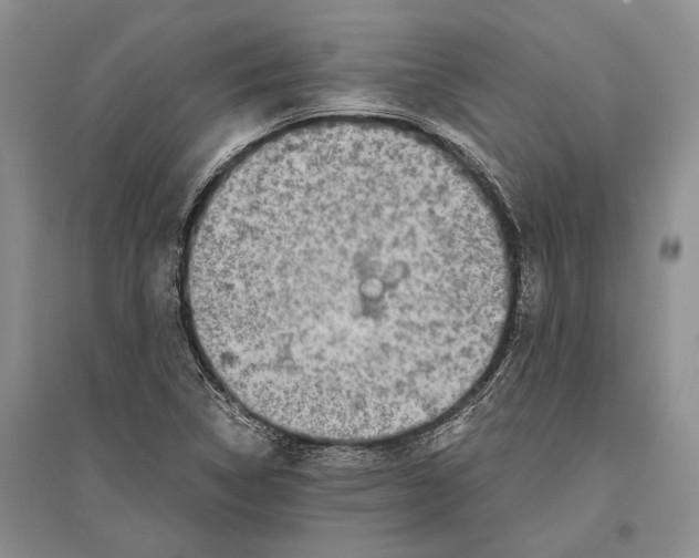 X0000096441314200802211201