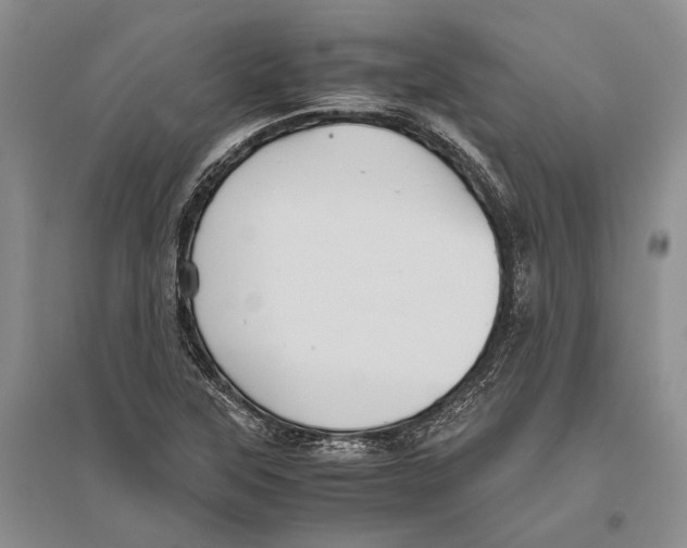 X0000096441315200802211201