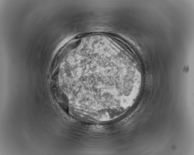 X0000096441317200802211201