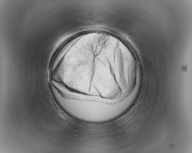 X0000096441320200802211201