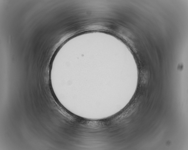 X0000096441322200802211201