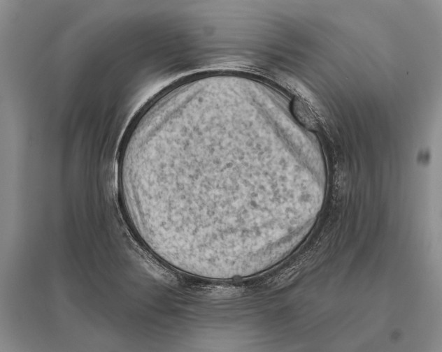 X0000096441324200802211201