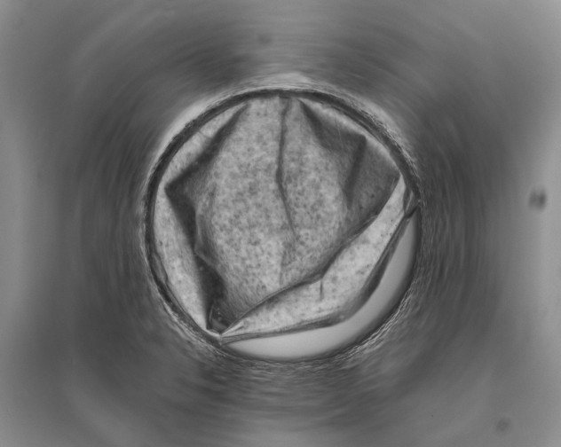 X0000096441326200802211201