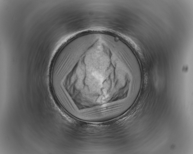 X0000096441327200802211201