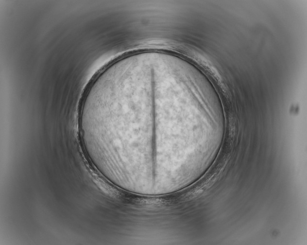 X0000096441328200802211201