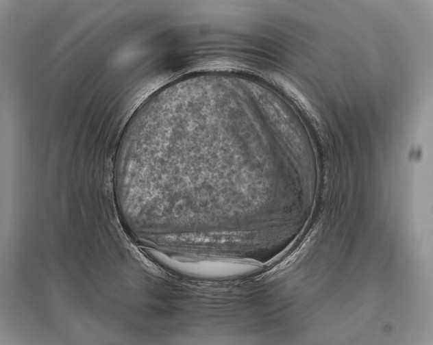 X0000096441329200802211201