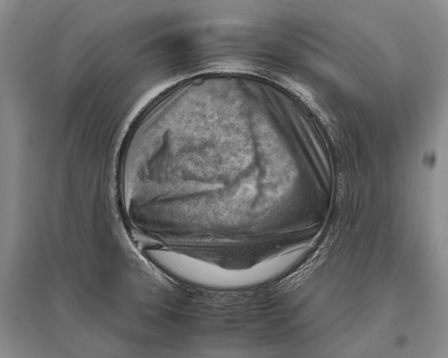 X0000096441331200802211201