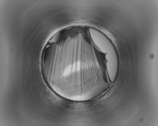 X0000096441334200802211201