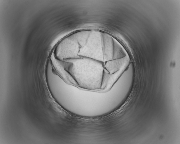 X0000096441336200802211201