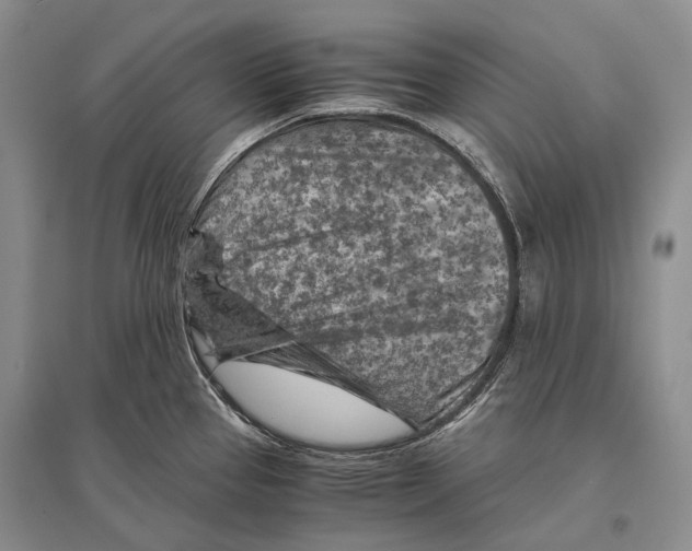 X0000096441337200802211201