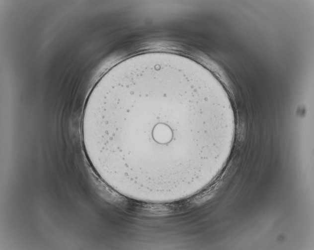 X0000096441338200802211201