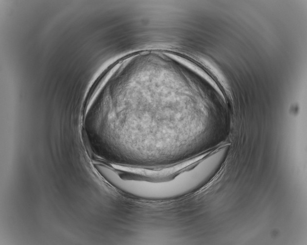 X0000096441340200802211201