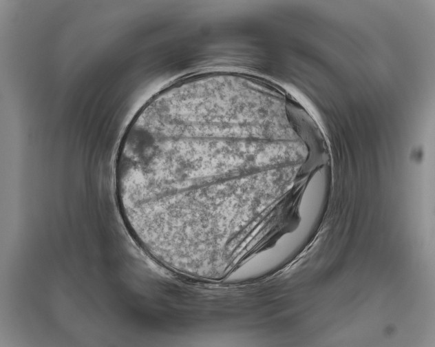 X0000096441341200802211201