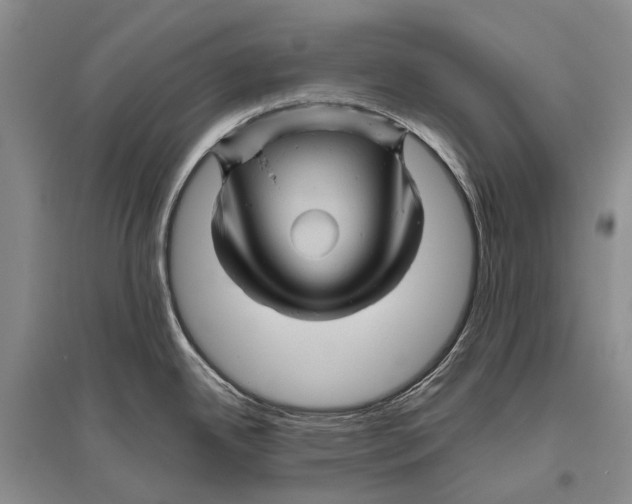 X0000096441342200802211201