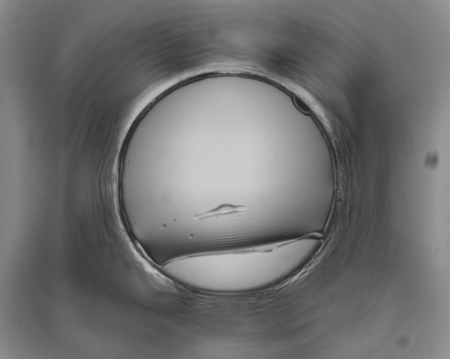 X0000096441343200802211201