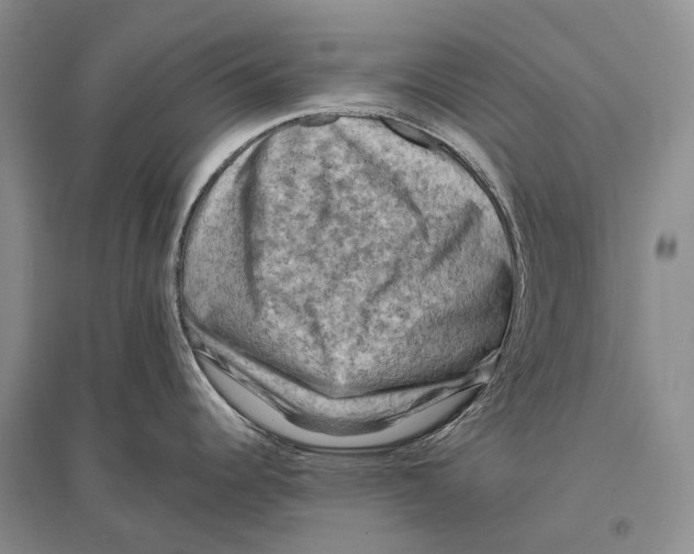 X0000096441344200802211201