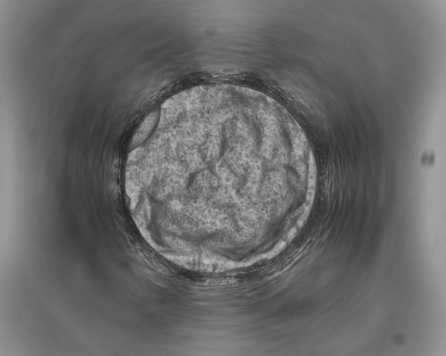 X0000096441346200802211201