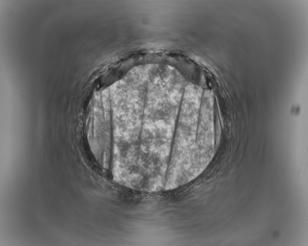 X0000096441349200802211200