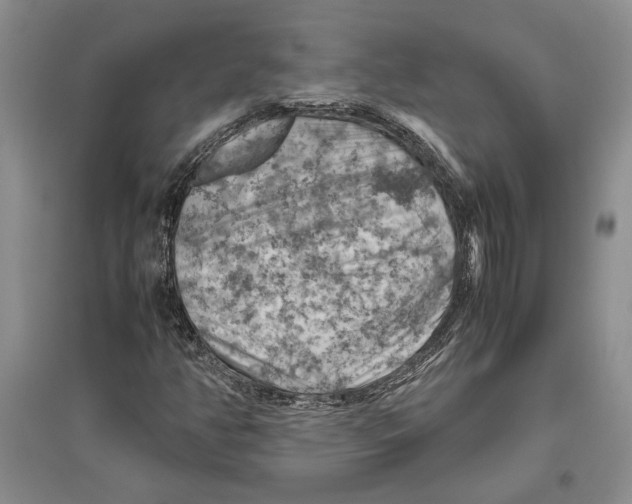 X0000096441350200802211200