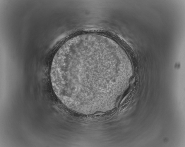 X0000096441351200802211200