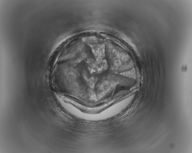 X0000096441352200802211200