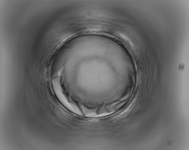 X0000096441353200802211200