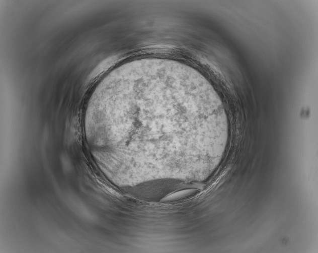 X0000096441354200802211200