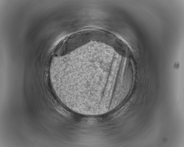 X0000096441355200802211200