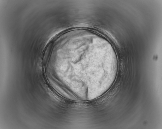 X0000096441356200802211200