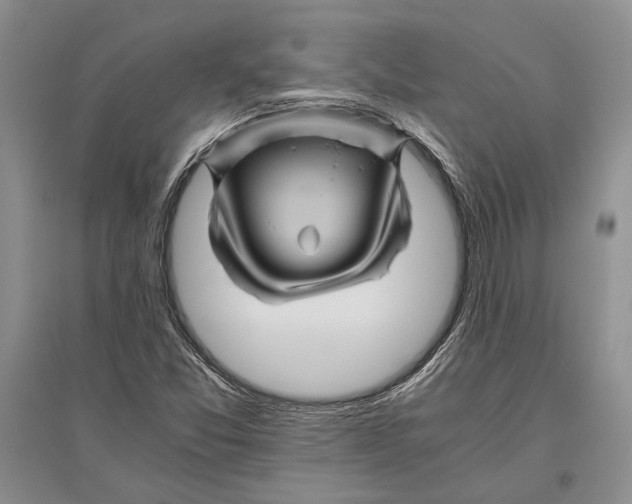 X0000096441357200802211200