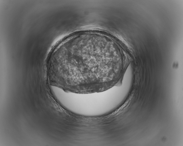 X0000096441358200802211200