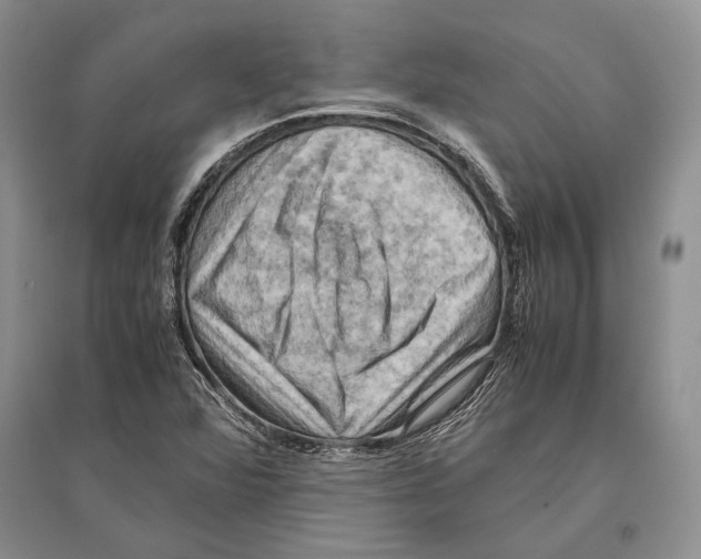 X0000096441360200802211200