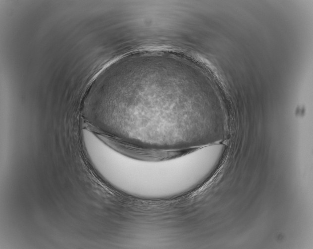 X0000096441361200802211200