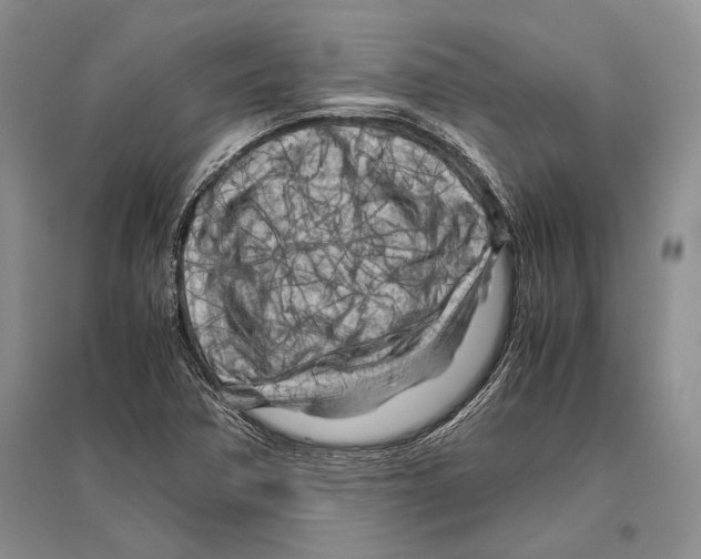 X0000096441362200802211200