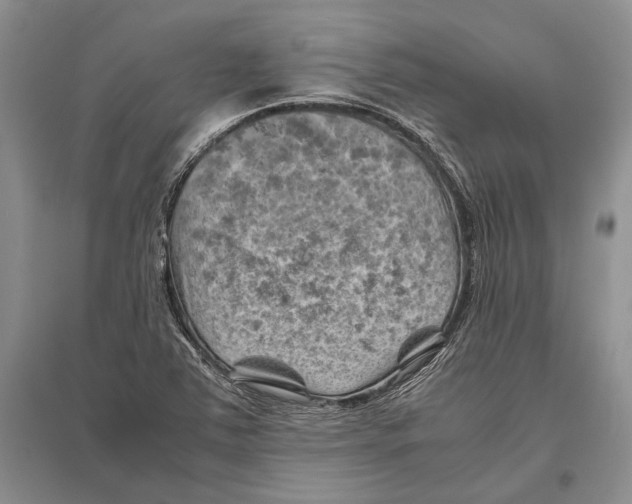 X0000096441363200802211200