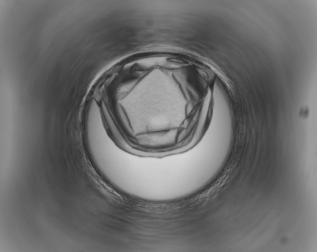 X0000096441364200802211200