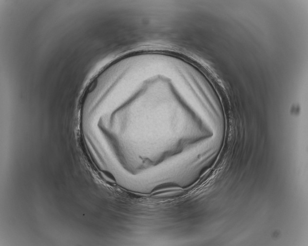 X0000096441366200802211200