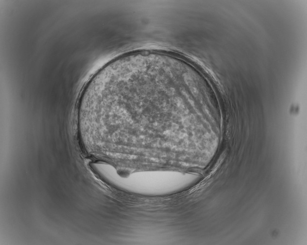 X0000096441367200802211200