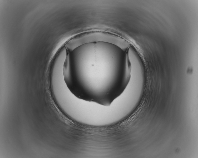 X0000096441368200802211200