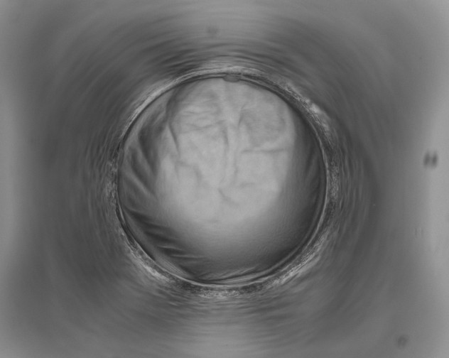 X0000096441369200802211200