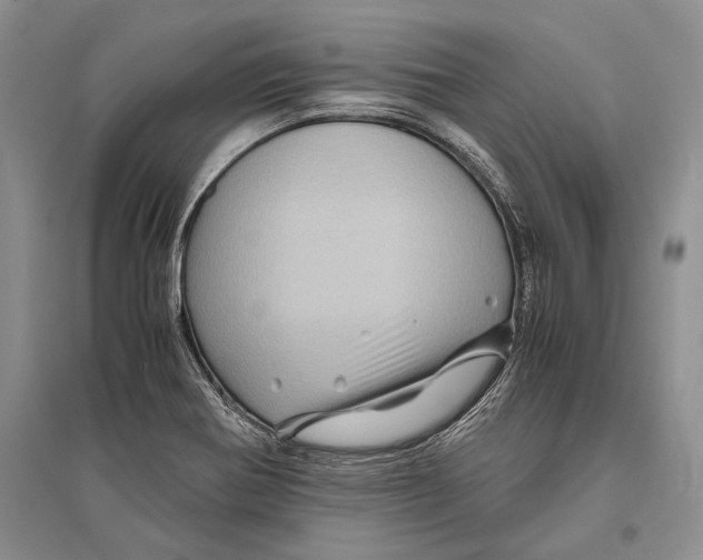 X0000096441370200802211200