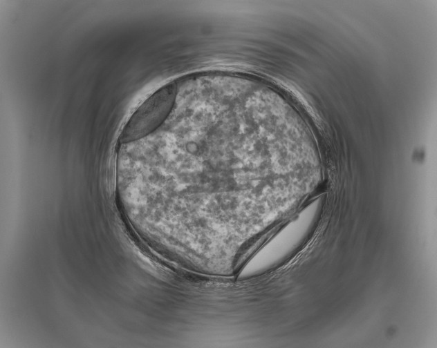 X0000096441371200802211200